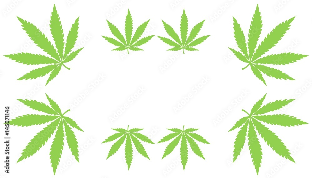 Illustration of marijuana leaves