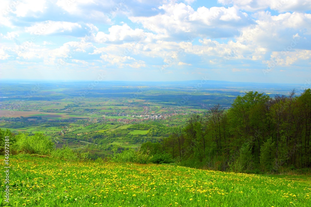 Spring landscape with green meadow and cloudy sky