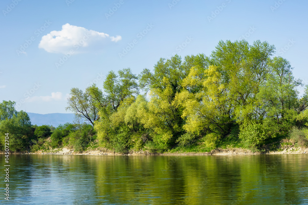 Beautiful green trees on the river shore reflecting in the water with blue sky and white clouds Beautiful green trees on the river shore reflecting in the water with blue sky and white clouds