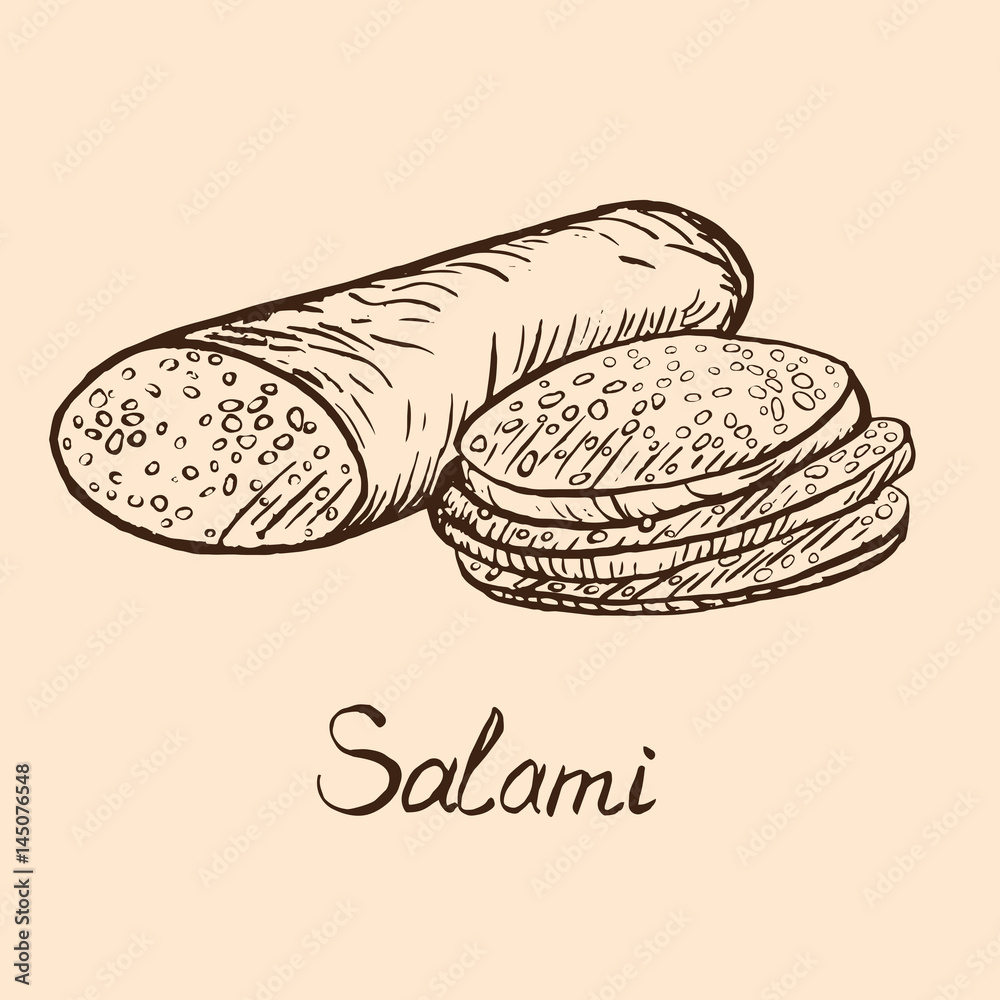 Salami and cut slices, hand drawn doodle, simple sketch in pop art