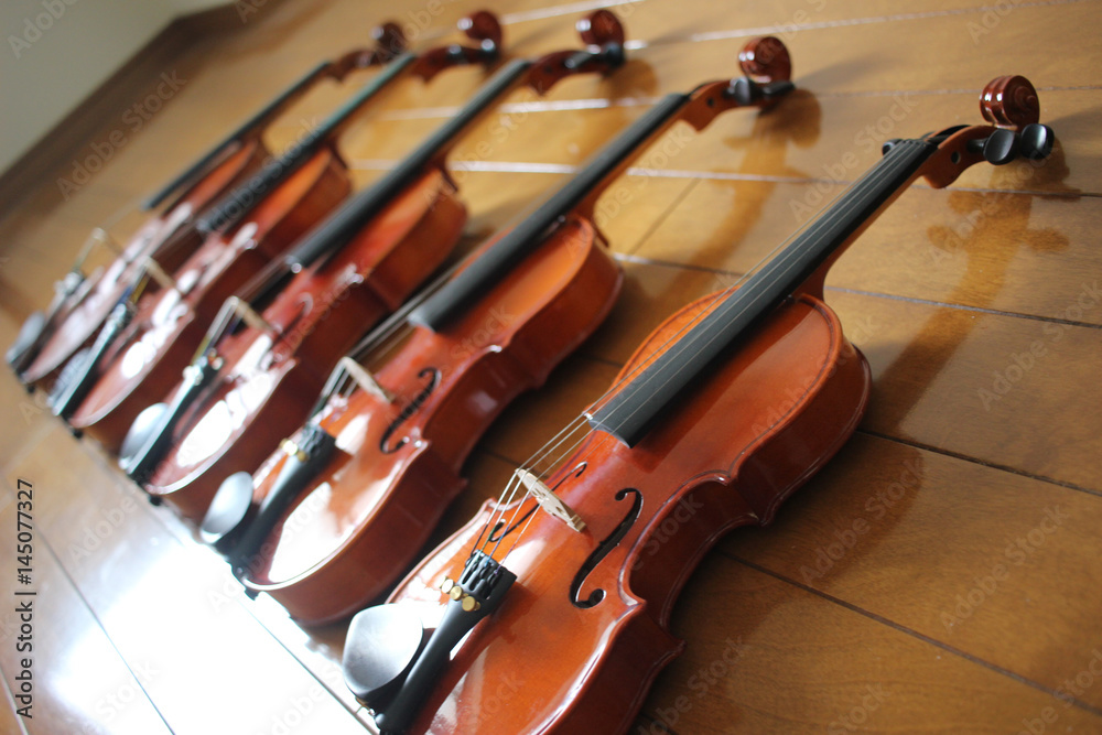 Naklejka premium バイオリンファミリー２