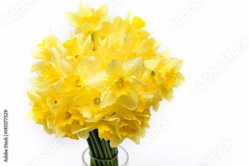 Fototapeta Naklejka Na Ścianę i Meble -  yellow narcissus, spring flower bouquet isolated on white, holiday greeting