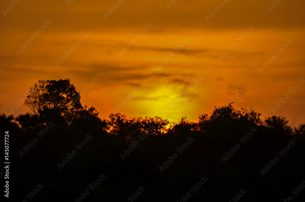 Sunset Silhouette Thailand