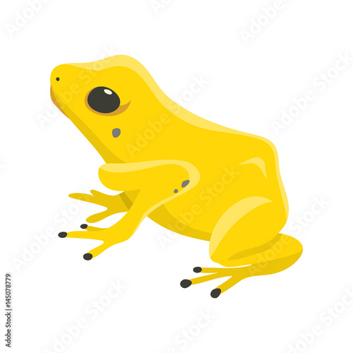 Poison dartfrog phyllobates terribilis a dangerous frog from the tropical forest vector