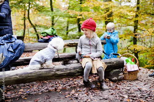 Girl sitting with Bichon Frise sitting on log in forest photo