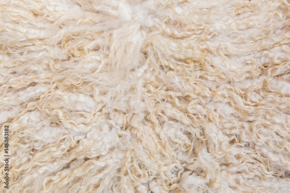Wool texture or background Wool texture or background