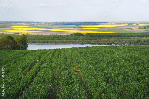 Beautiful spring landscape with river and  field in Vojvodina,Serbia photo