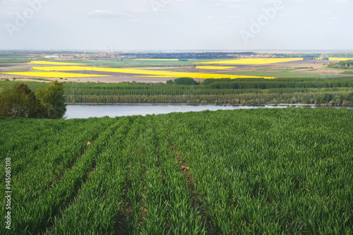 Beautiful spring landscape with river and  field in Vojvodina,Serbia