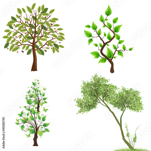 set of beautiful green trees on white background