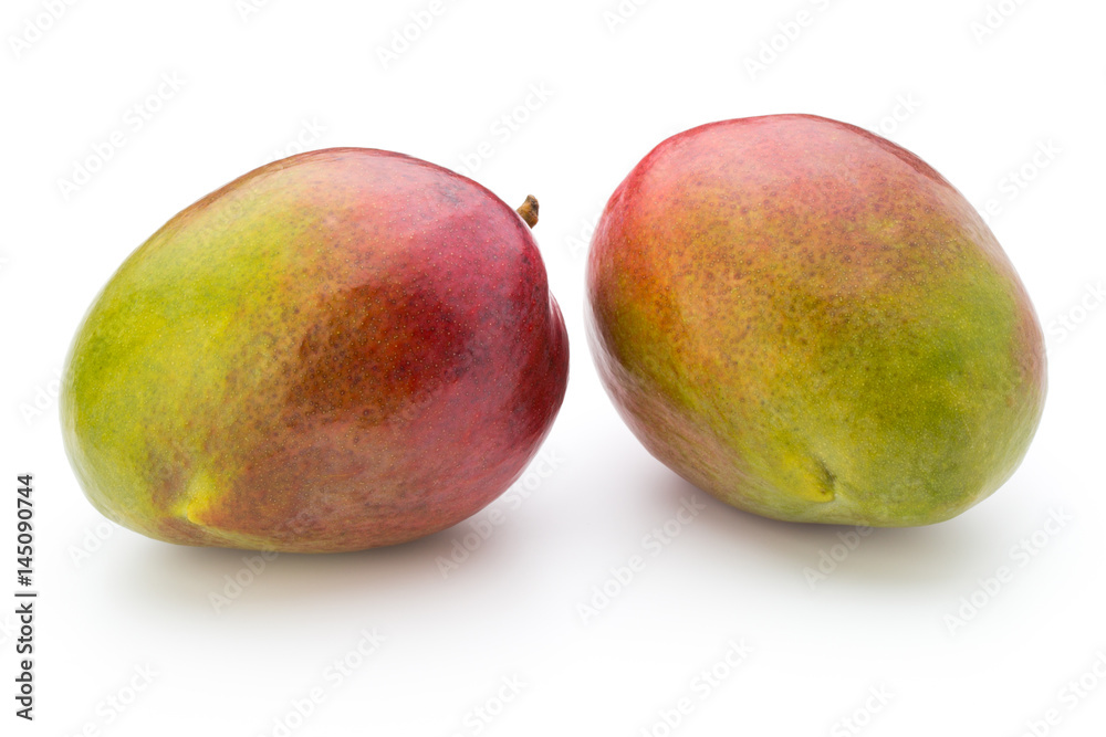 Mango fruit isolated on white background . Mango fruit isolated on white background .