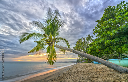 Tropical beach with coconut palm. This is the appropriate place for weekend vacation with family Paradise beach