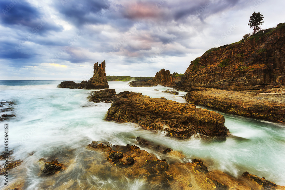 Sea Kiama 2 Peaks tree