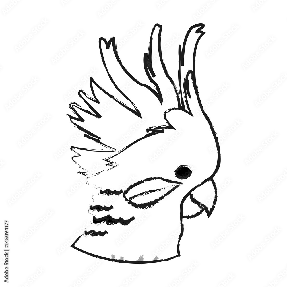 cockatoo tropical bird icon image vector illustration design cockatoo tropical bird icon image vector illustration design