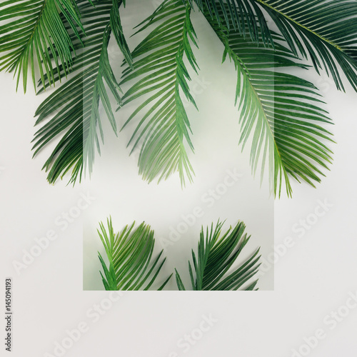 Tropical palm leaves on bright background. Summer minimal concept. Flat lay.