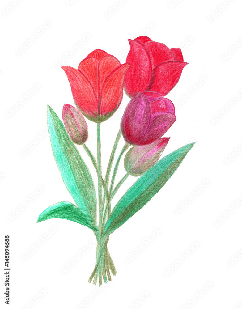 Fototapeta premium Abstract floral watercolor painting. Red tulips.