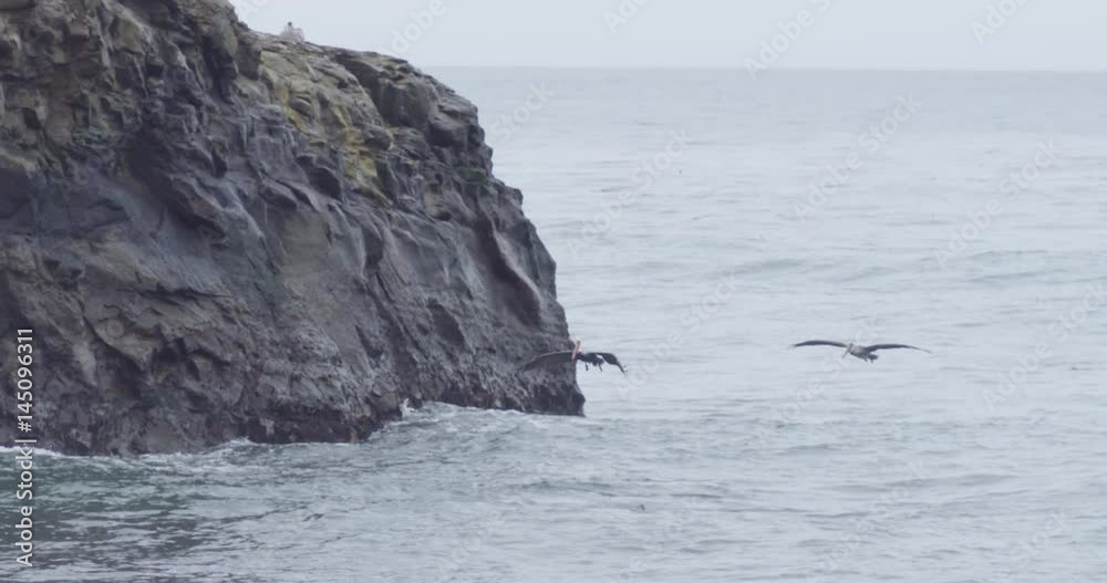 Slow motion shot of Pelican flying at Natural Bridges State Beach in Santa Cruz, California. Slow motion shot of Pelican flying at Natural Bridges State Beach in Santa Cruz, California.