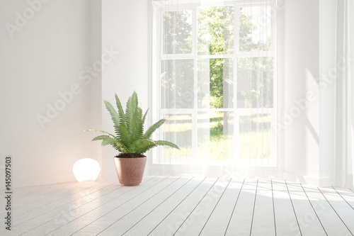 White empty room with green landscape in window. Scandinavian interior design. 3D illustration