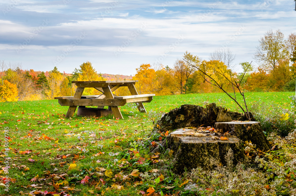 Empty Picnic Table in a Clearing covered with Fallen Leaves on a Cloudy Autumn Day. Fall Foliage.