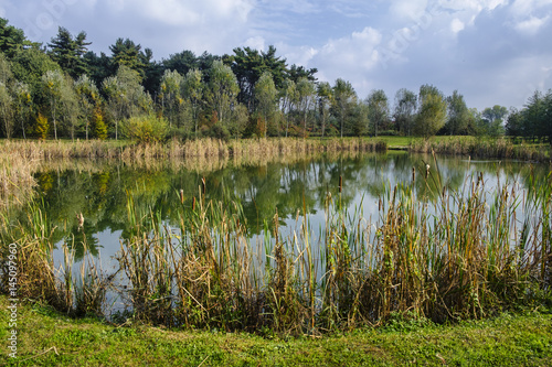 Grugnotorto park (Brianza, Italy)