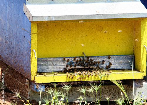 Bienenzucht im Nationalpark der Maremma © Anke Thomass