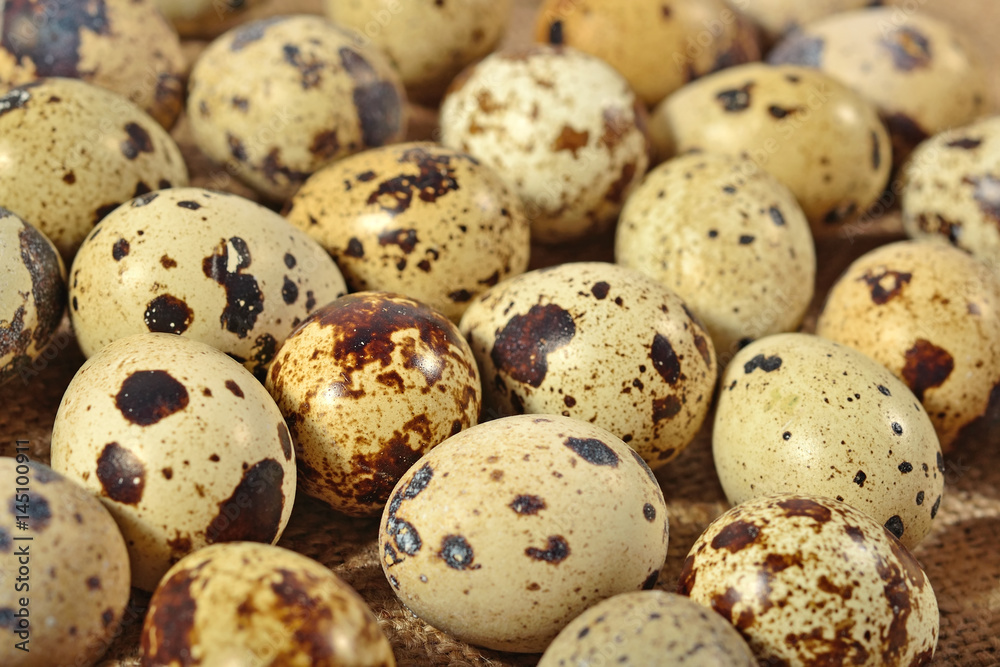 Quail eggs as background texture Quail eggs as background texture