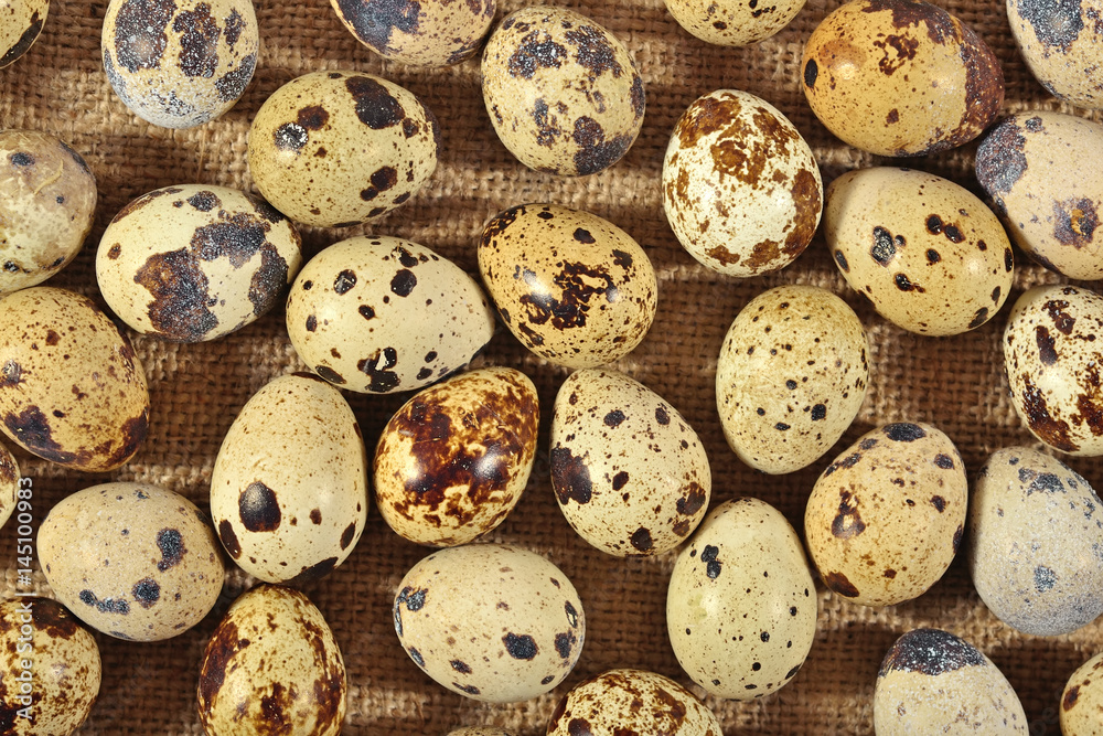 Quail eggs in a sacking background Quail eggs in a sacking background