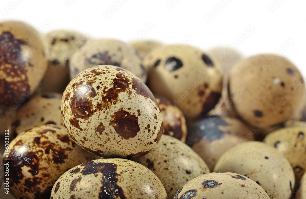 Quail eggs close up on a white Quail eggs close up on a white