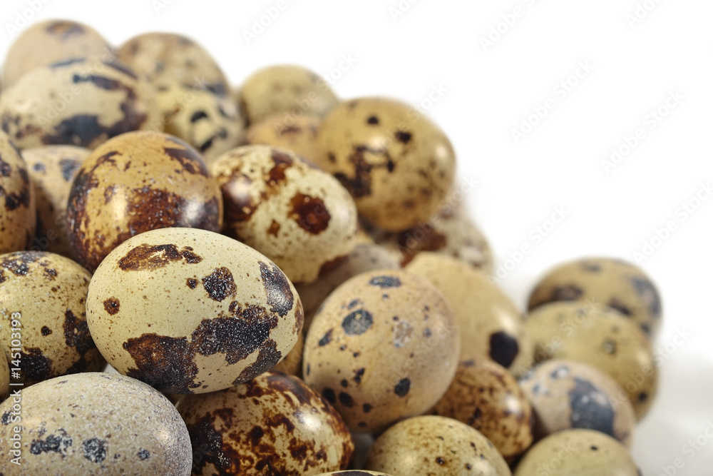 Quail eggs close up on a white Quail eggs close up on a white