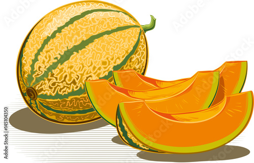 Whole melon and two slices on a white background.