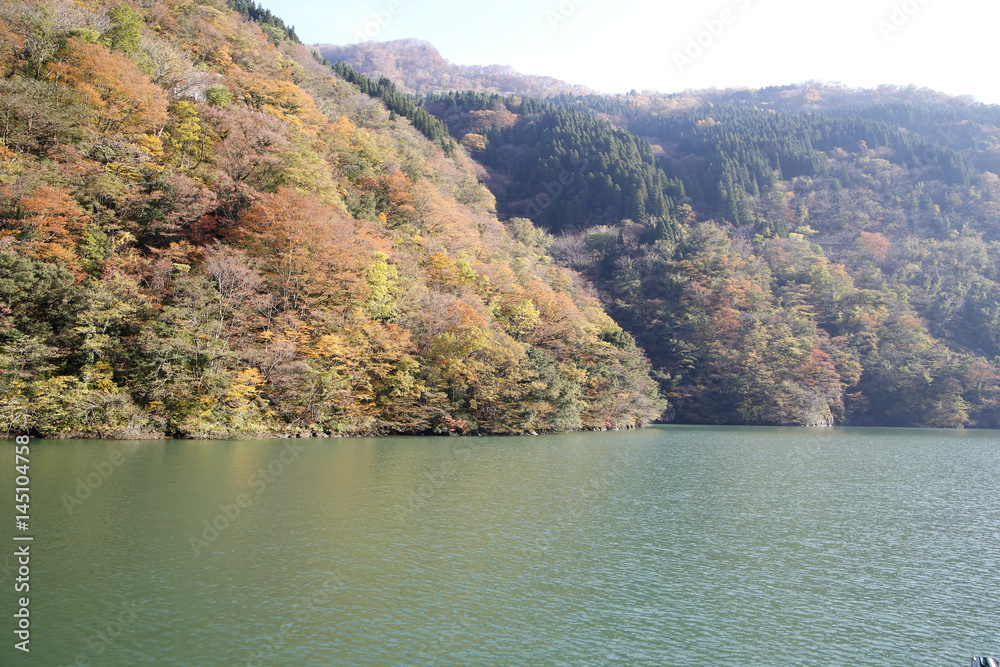 River and autumn leaves and mountains River and autumn leaves and mountains