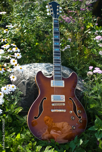 guitar in flowers