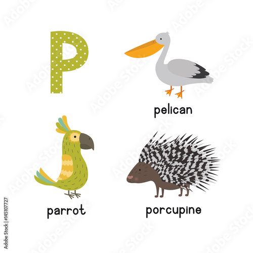 Cute Children Zoo Alphabet P Letter Tracing Of Funny Animal Cartoon For Kids Parrot Porcupine Pelican Stock Vector Adobe Stock