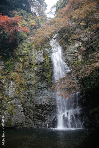 秋の箕面の滝