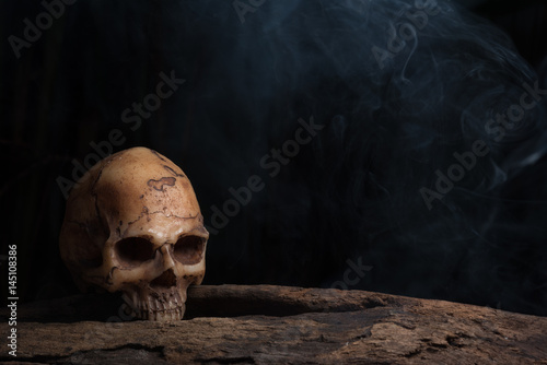 Still life photography with human skull