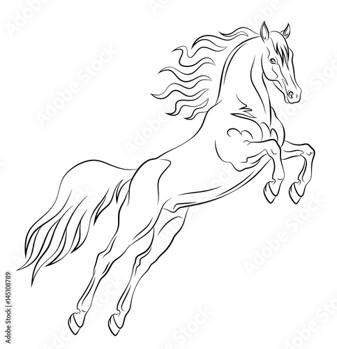 Prancing mustang drawn in a black outline