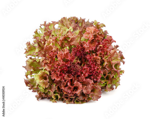 red coral salad isolated on the white background