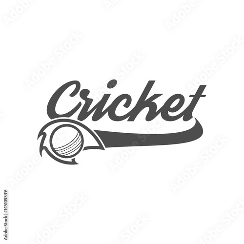 Cricket club emblem and design elements. team logo . tournament badge. Sports symbols with gear, equipment. Use for web , tee or print on t-shirt. Monochrome design template