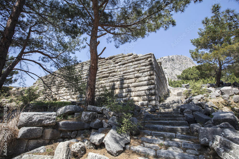 Ruins of the ancient city of Priene, Turkey