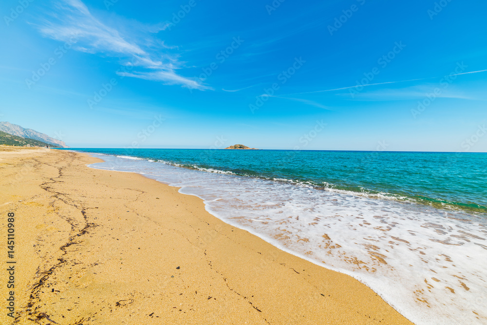 Golden shore in Is Orrosas beach