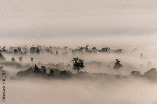 Fog and clouds over Pai District Mae Hong Son, THAILAND. View from Yun Lai Viewpoint is located about 5 km to the West of Pai town centre above the Chinese Village.
