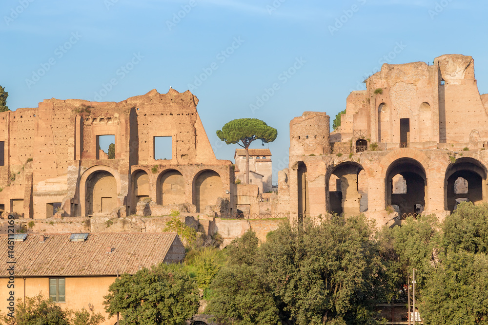Rome, Italy. View of the ancient ruins of the imperial palaces on Palatine Hill