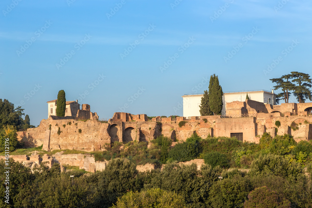 Rome, Italy. Ancient ruins on the Palatine Hill