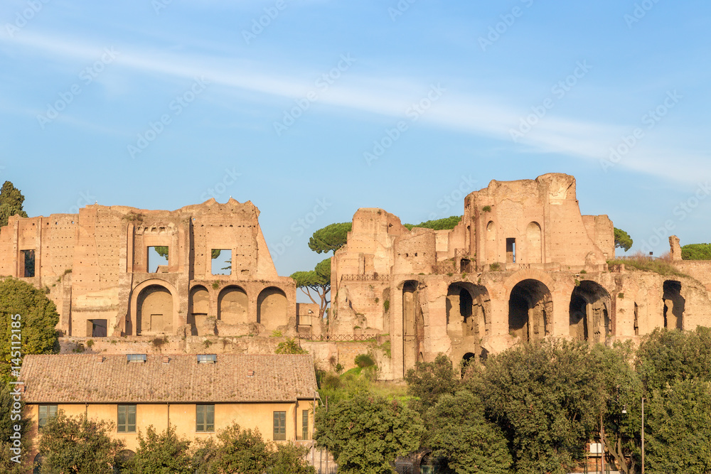 Rome, Italy. Ruins of the Imperial Palaces on Palatine Hill