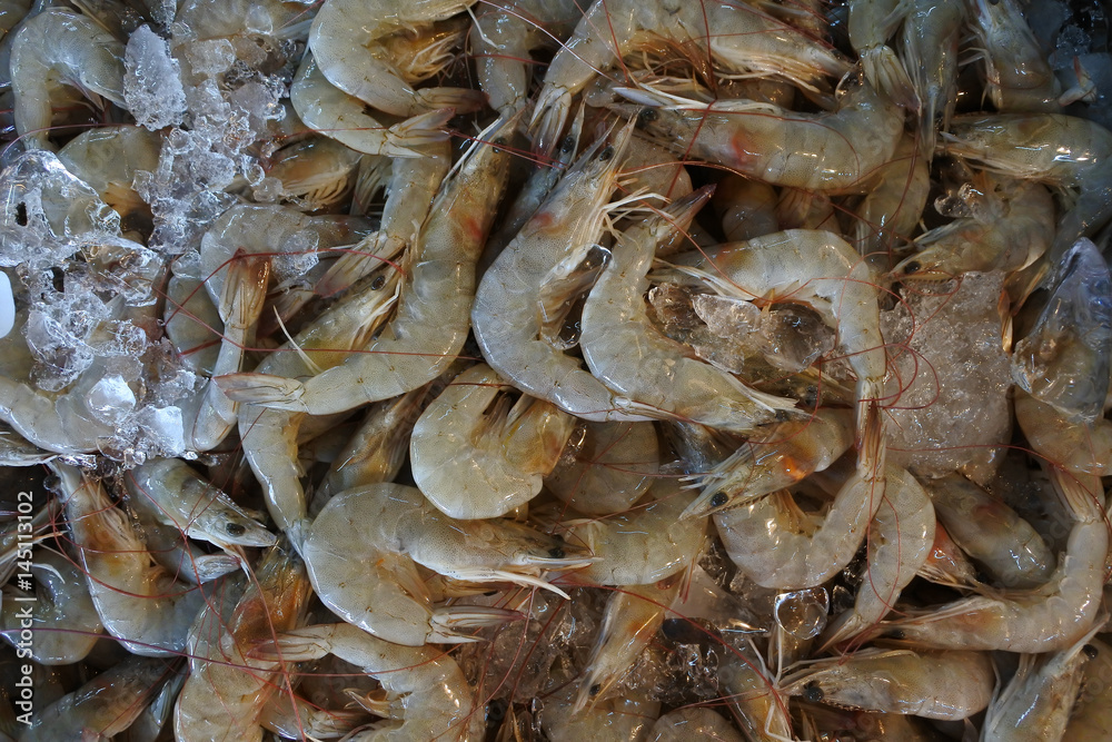 Fresh shrimp texture