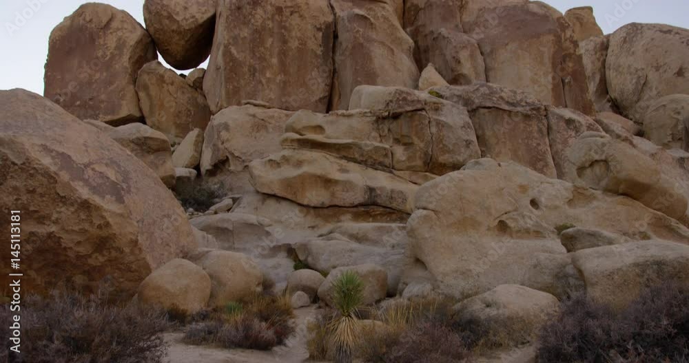 Joshua Tree National Park during sunrise time. Joshua Tree National Park during sunrise time.