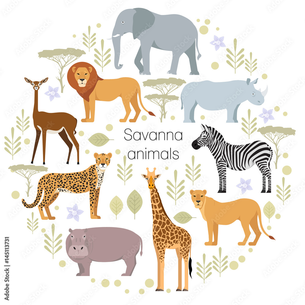 African animals elephant, rhino, giraffe, cheetah, zebra lion hippo isolated Savanna Vector illustration African animals elephant, rhino, giraffe, cheetah, zebra lion hippo isolated Savanna Vector illustration