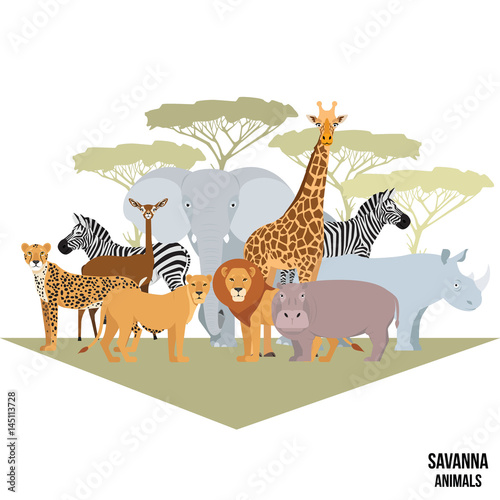 Savanna animal composition with trees. Elephant  rhino  giraffe  cheetah  zebra  lion hippo isolated African vector illustration