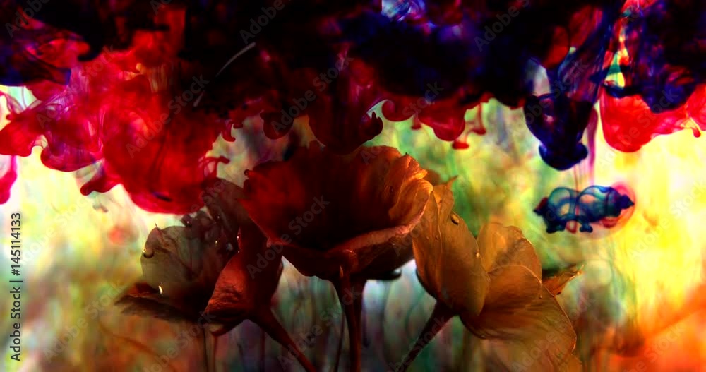 Adding color to spring blossom. Let Spring Begin!