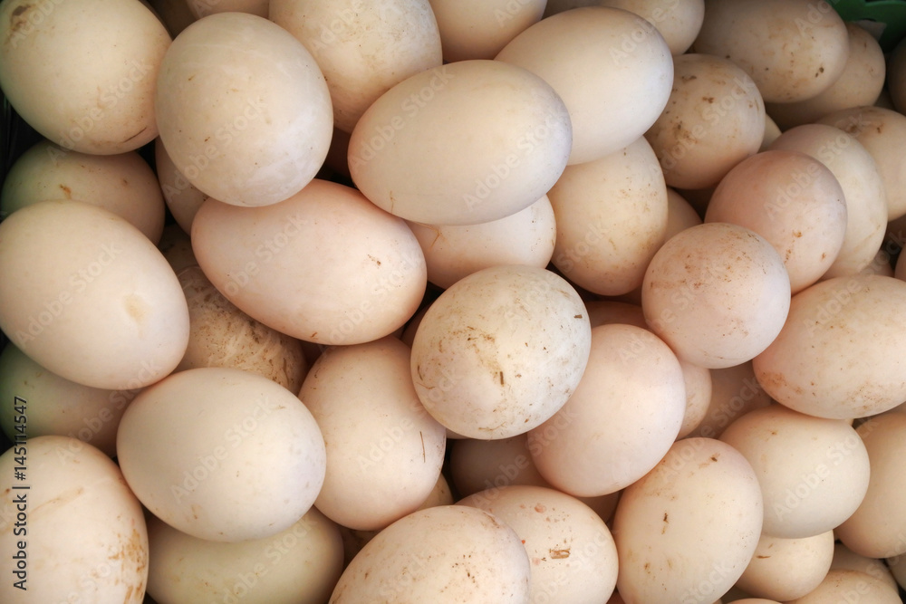 Duck eggs background Duck eggs background
