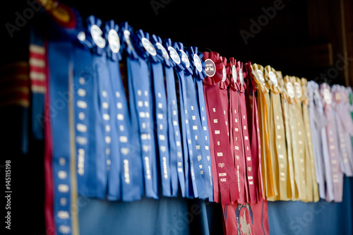 Row of show ribbons